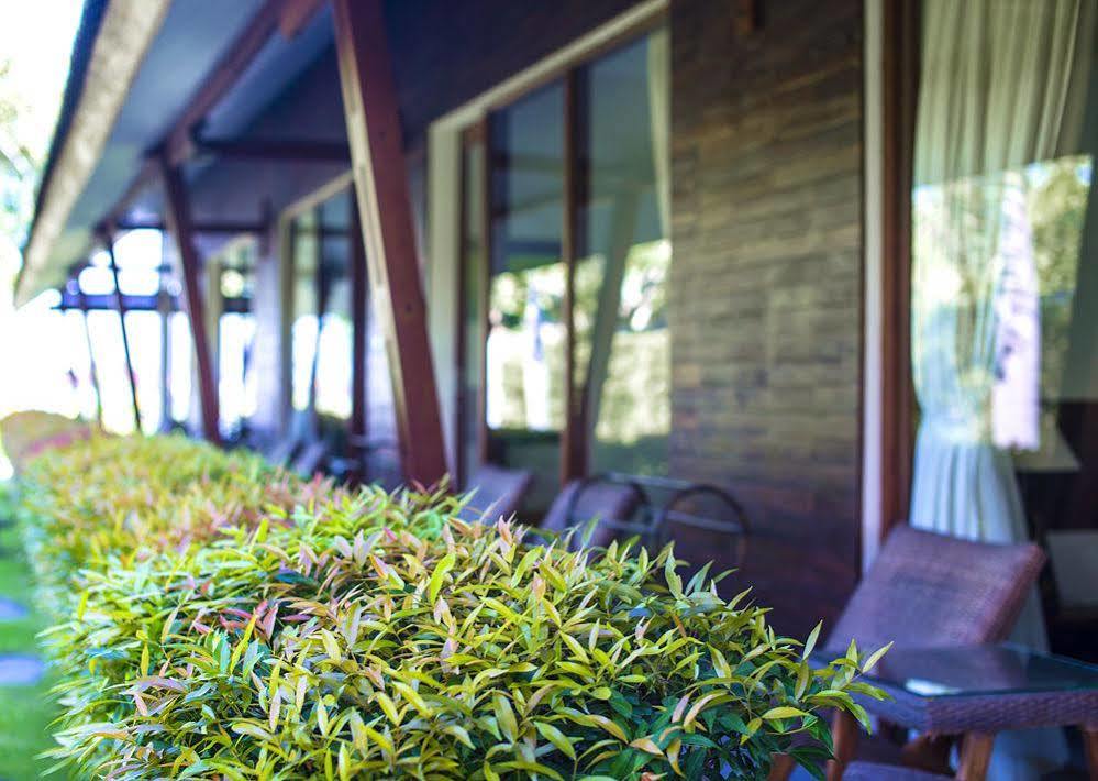 Big Brother Surf Inn Canggu  Exterior photo